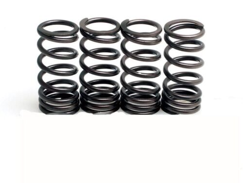 VALVE SPRING SET TTR250 99-09, KIBBLEWHITE 80-80002 RACING