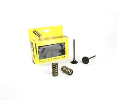 KIT EX VALVE+SPRING KTM350, PROX 28.SES6353-1 EXHAUST
