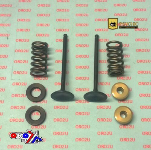 VALVE KIT EXHAUST YZF250 GASGA, PSYCHIC XU-09519EK