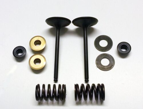 VALVE KIT INTAKE KX450F, PSYCHIC XU-09164IK 06-08
