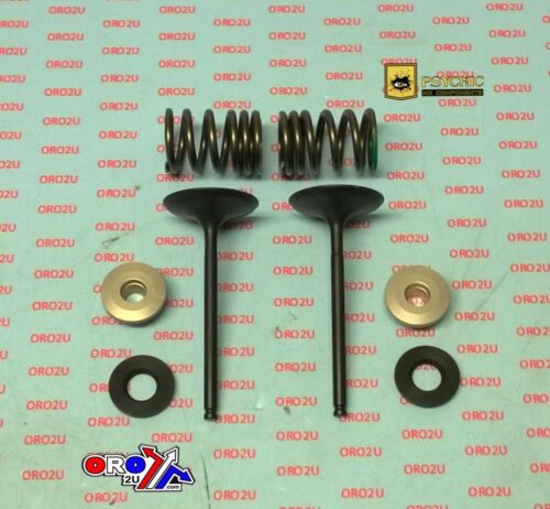 VALVE KIT INTAKE RMZ450 05-06, PSYCHIC XU-09536IK