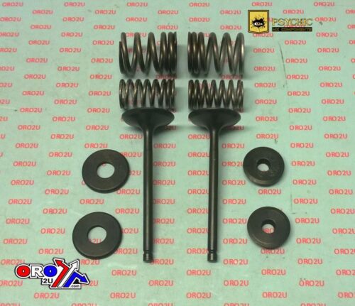 VALVE KIT INTAKE TT-R225, PSYCHIC XU-09518IK XT225