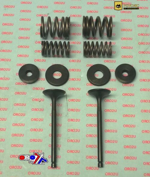 VALVE KIT EXHAUST TT-R225, PSYCHIC XU-09518EK XT225