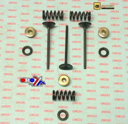 VALVE KIT INTAKE WRF250 01-09, PSYCHIC XU-09522IK