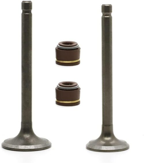 INTAKE EXHAUST VALVES AND VALVE SEAL YAMAHA YFM80R RAPTOR 22K-12111-03-00