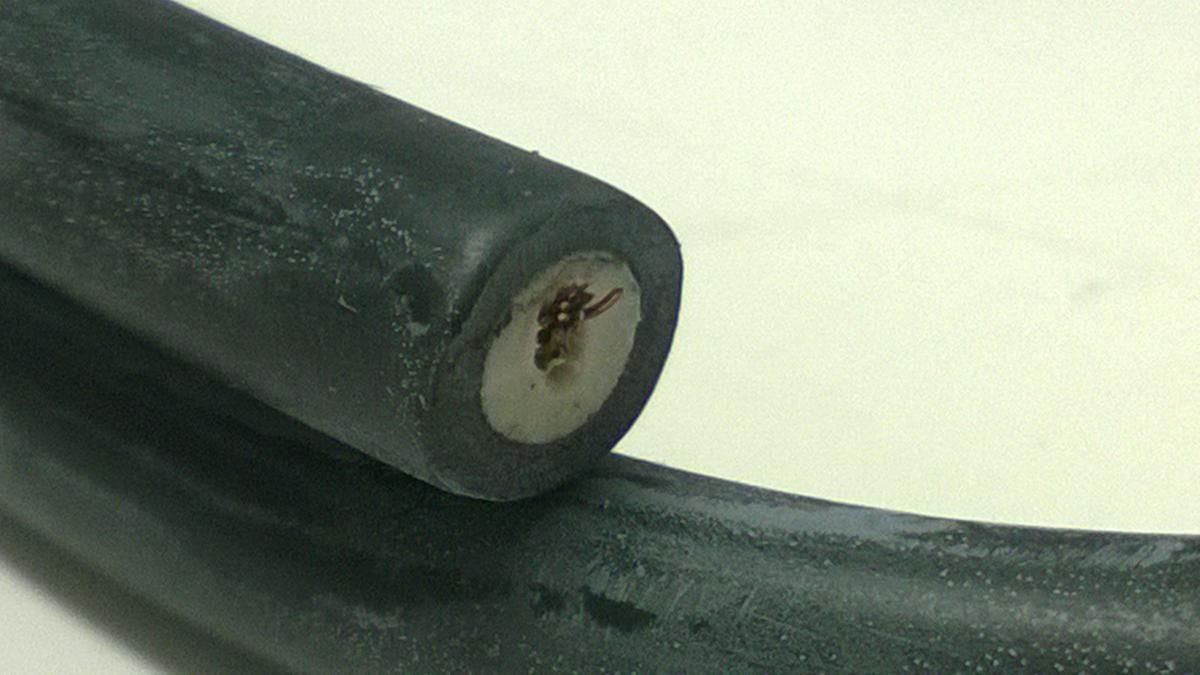 S/SEED SAME AS 44-050 ......................... COIL IGNITION 30510-HM7-003, HONDA TRX450F 1995-2004, DZE 4018, IHA0002 - Image 5