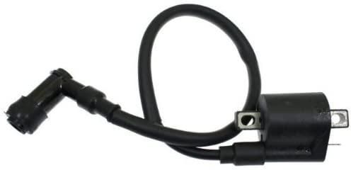 COIL HT IGNITION ETON, 650455