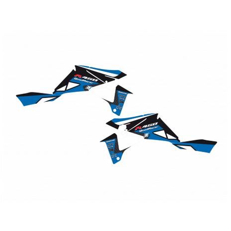 06-11 LTR450 DREAM 2 GRAPHIC, BLACKBIRD DECAL KIT 2Q09A/01