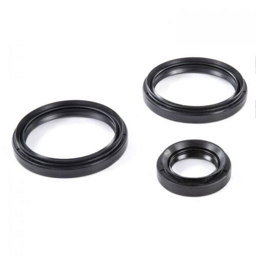 DIFFERENTIAL SEAL KIT ARC. CAT, ALLBALLS 25-2042-5 ARCTIC CAT