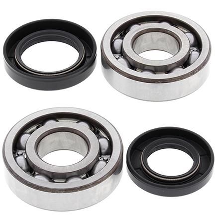CRANKSHAFT BEARING & SEAL KIT, ALLBALLS 24-1005 TRX250R ATC