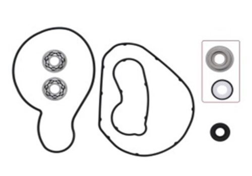 WATER PUMP REPAIR KIT WITH BEARINGS 721317