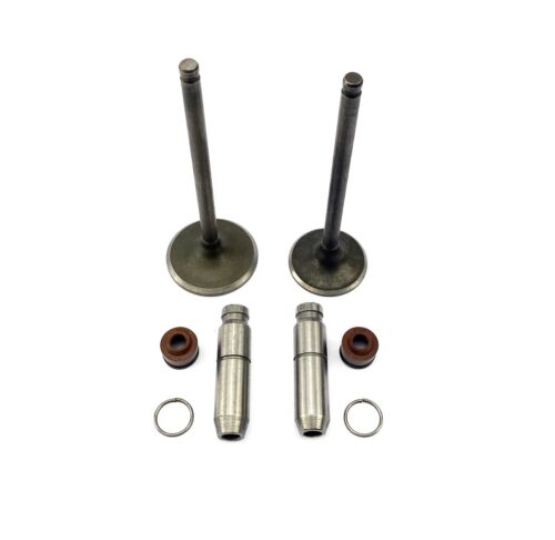 VALVE INTAKE & EXHAUST + GUIEDS HONDA XR150 CRF150 NXR150 NXR150 CG150