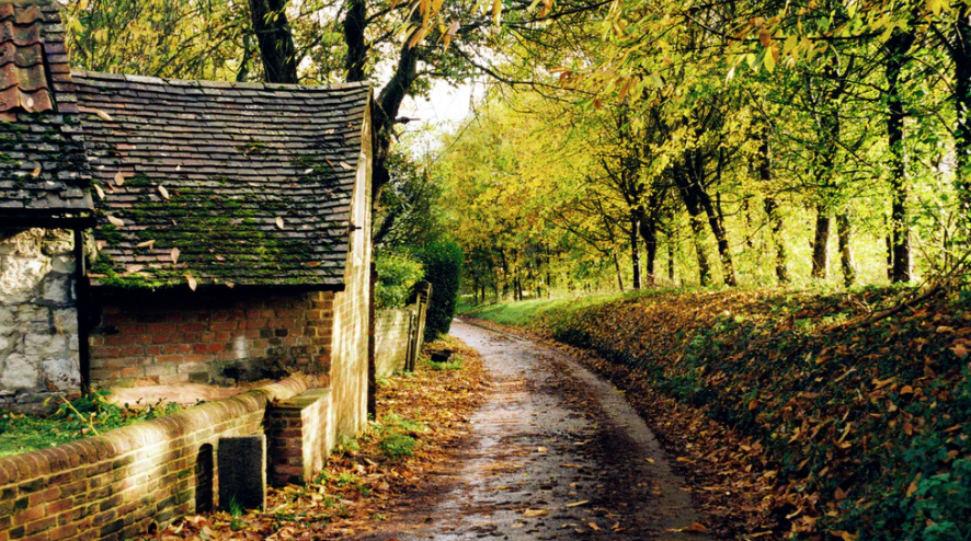 A World Alive: How Tolkien transformed England-as-Elfland into Middle-earth - Vimarsana News