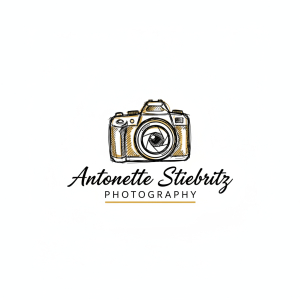Real Estate Photographer Logo Template #210908 — editable real estate photographer logo design from LogoMakr