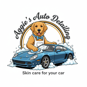 Auto Detailing Logo Template #246634 — editable auto detailing logo design from LogoMakr