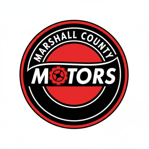 Car Dealership Logo Template #247993 — editable car dealership logo design from LogoMakr
