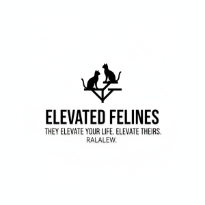Auto Detailing Logo Template #328384 — editable auto detailing logo design from LogoMakr