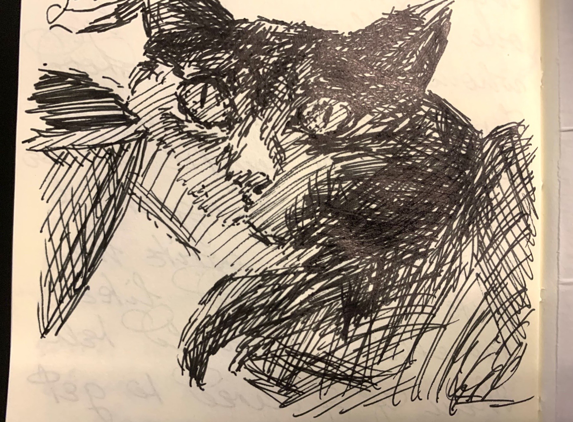A drawing of the previous picture on cream white paper with a black gel pen.