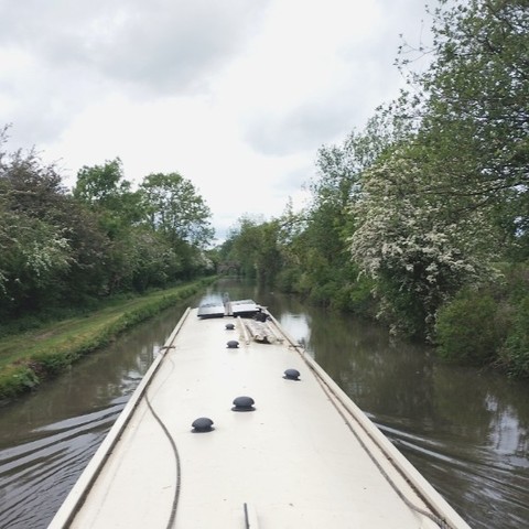 Posted media