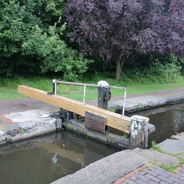 A lock gate. The metal fixings that wind open the paddles are old, painted the traditional black and white. But the beam is new. It's a half-dozen unpainted planks that have been bolted together to the size of a traditional (and expensive) solid oak beam.

There are ornamental maples behind the lock, and much green vegetation, including grass. In the foreground, the surface near the lock gate is paved with bricks.