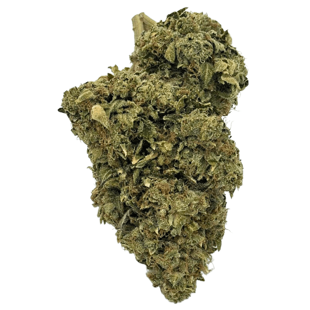 Black Kettle Rainbow Driver Prairie Cannabis Prince Albert