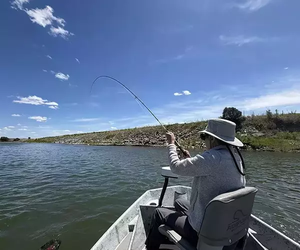									Lower yellowstone river flyfishing angler hooked up
															