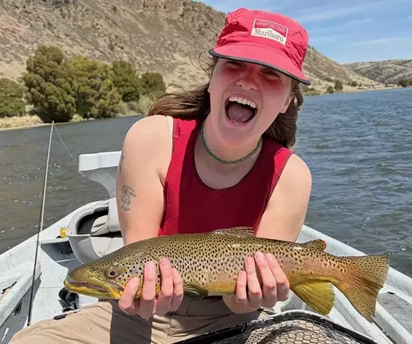 									Madison river fly fishing for brown trout in montana
															