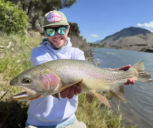 									Upper yellowstone river cutbow while fly fishing montana in high water
															