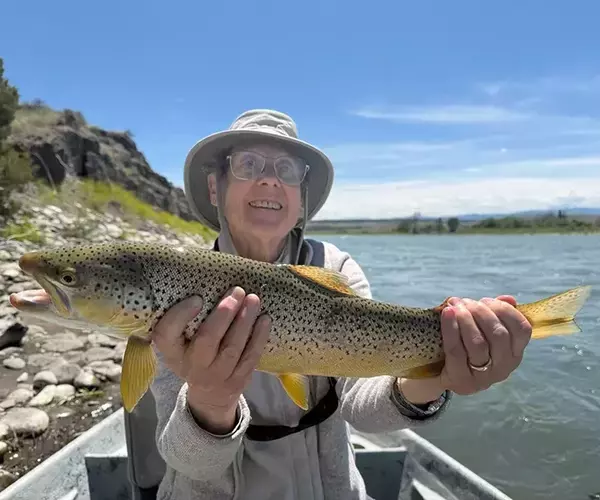 									Yellowstone river brown trout fly fishing near big timber montana
															