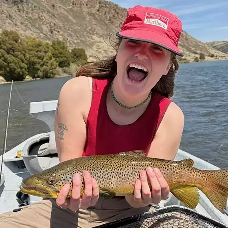 											Madison river fly fishing for brown trout in montana
																						