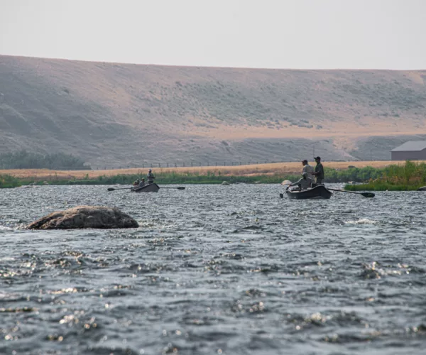 									Montana fly fishing float trip
															