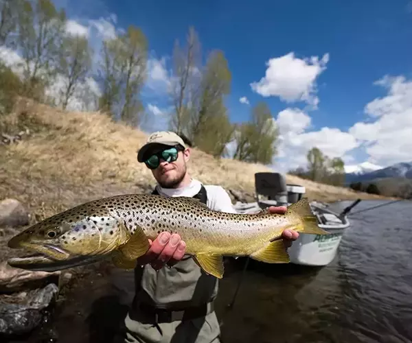 									Brown trout on yellowstone river fly fishing trip in april 2026
															