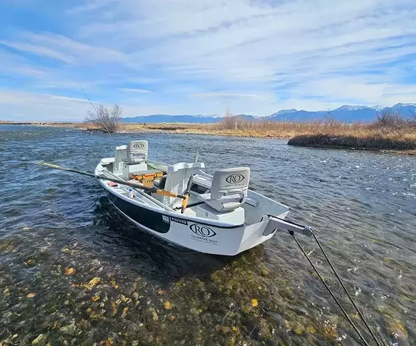 									Madison river fly fishing spring at varney
															