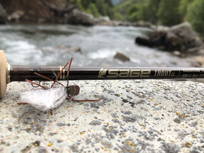 sage trout ll