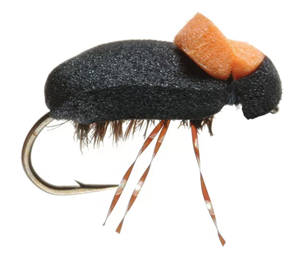 									Hi viz beetle for flyfishing montana
															