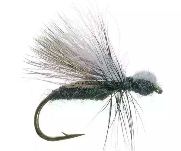 									Cdc flying ant for flyfishing montana
															