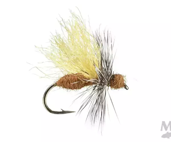 									Flying cinnamon ant fly for flyfishing montana
															