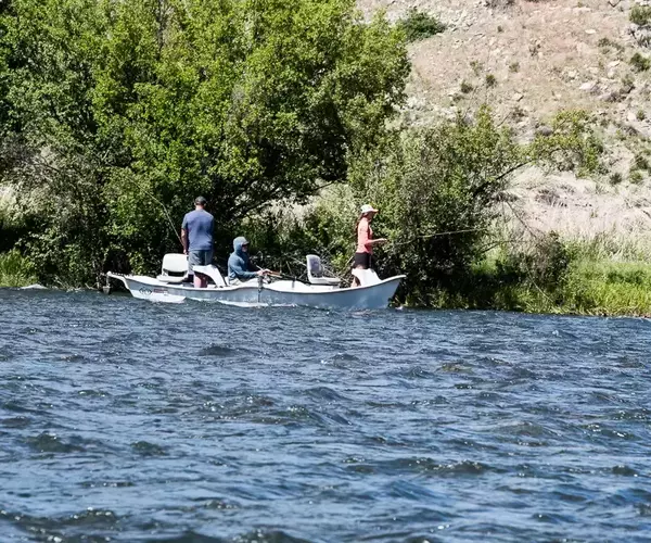 									Dirft boat fly fishing standing anglers
															