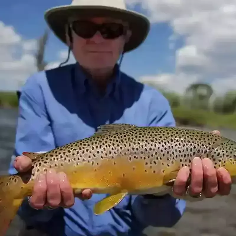 											Gallatin River guide client of Fins & Feathers Guide Service with a trophy Brown Trout
																						