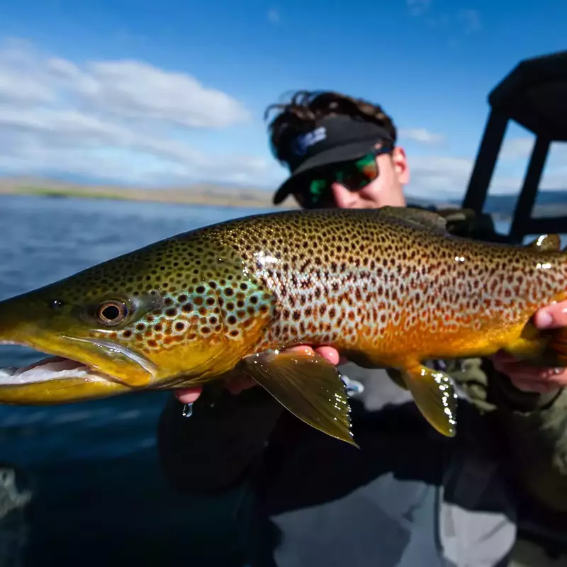 											Ennnis lake brown trout angler
																						