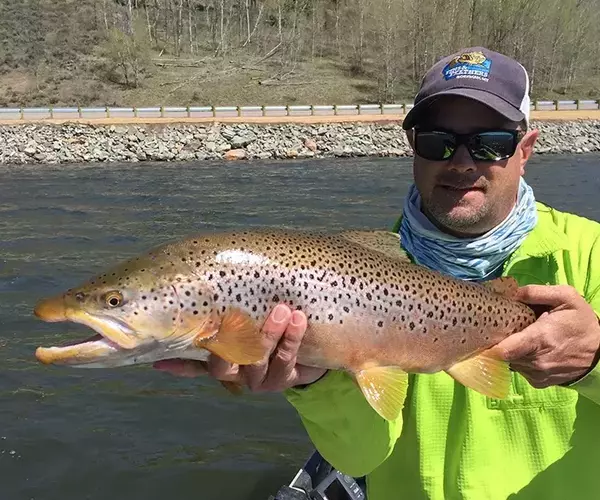 									Hebgen lake fly fishing brown trout
															