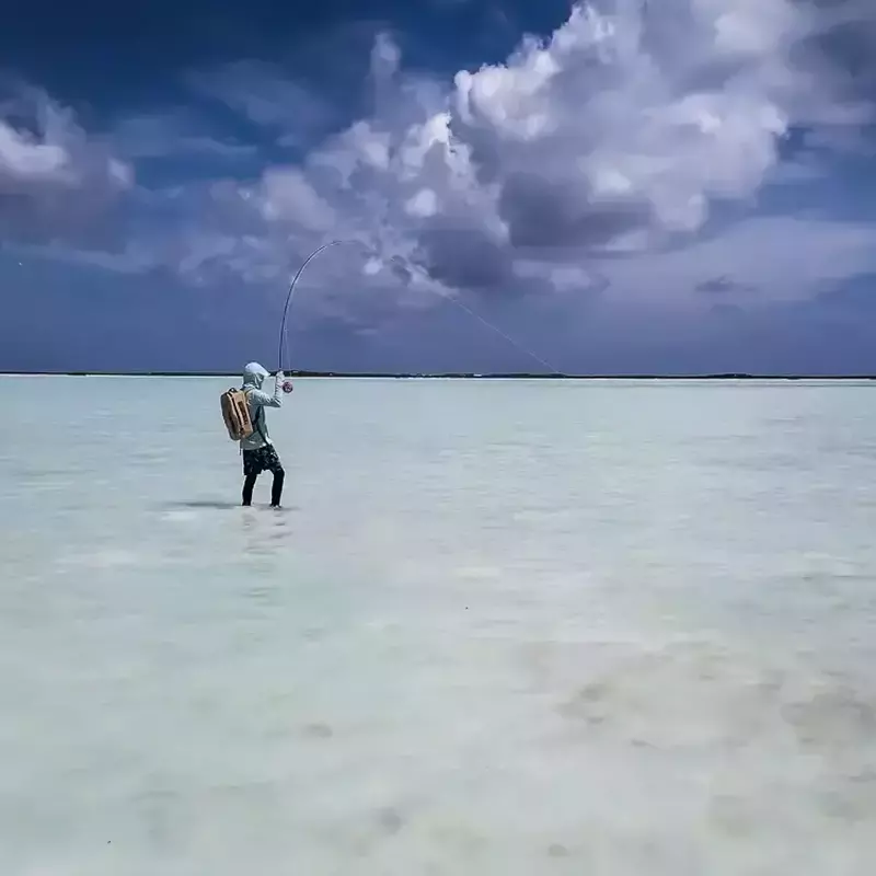 											Seychelles fly fishing 11
																				