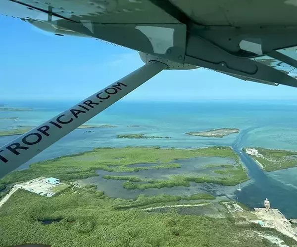 									Belize fly fishing el pescador fly in
															