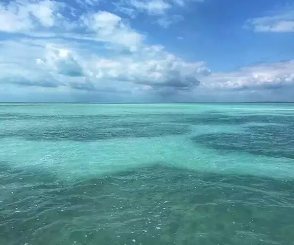 									Belize fly fsihing at el pescador lodge flast
															