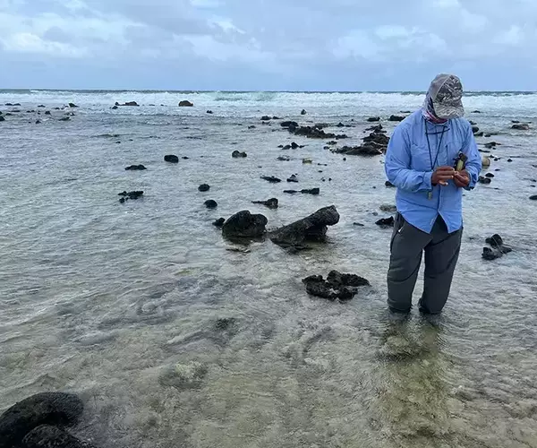 									Turneffe flats lodge calabash
															