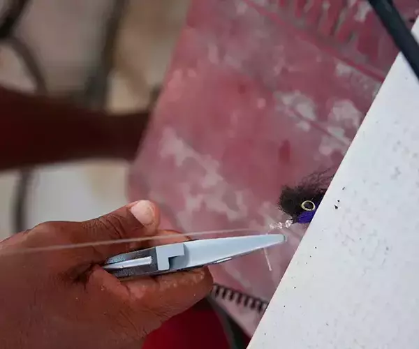 									Turneffe flats lodge flats fishing in Belize 1 of 1 10
															