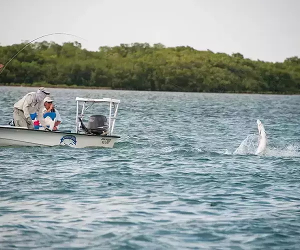 									Turneffe flats lodge flats fishing in Belize 1 of 1 13
															