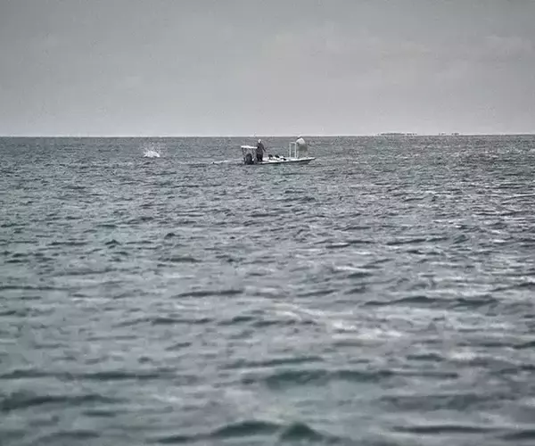 									Turneffe flats lodge flats fishing in Belize 1 of 1 14
															