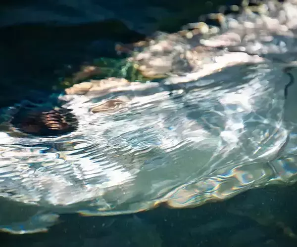 									Turneffe flats lodge flats fishing in Belize 1 of 1 17
															