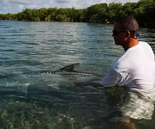 									Turneffe flats lodge flats fishing in Belize 1 of 1 18
															